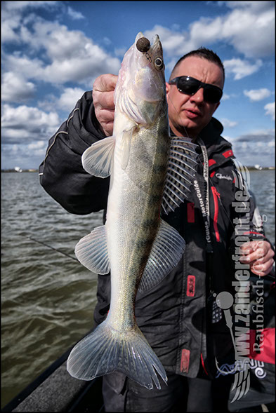 vertikal angeln auf zander