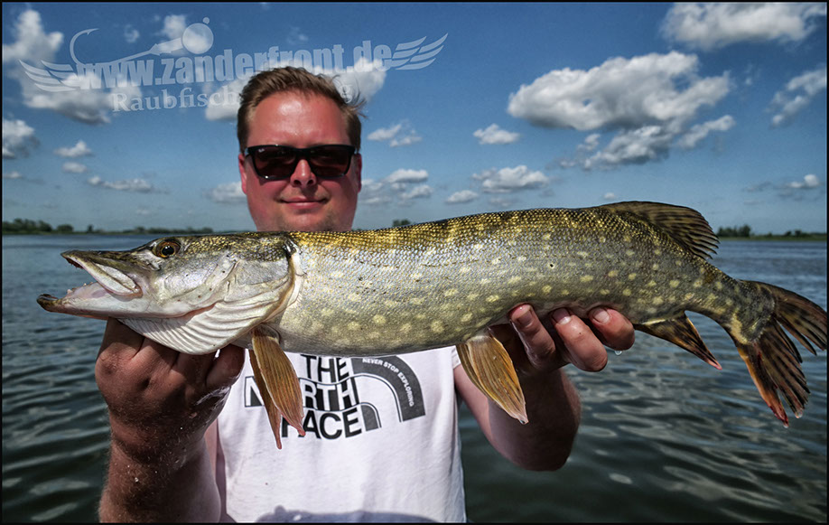 vertikal angeln auf zander
