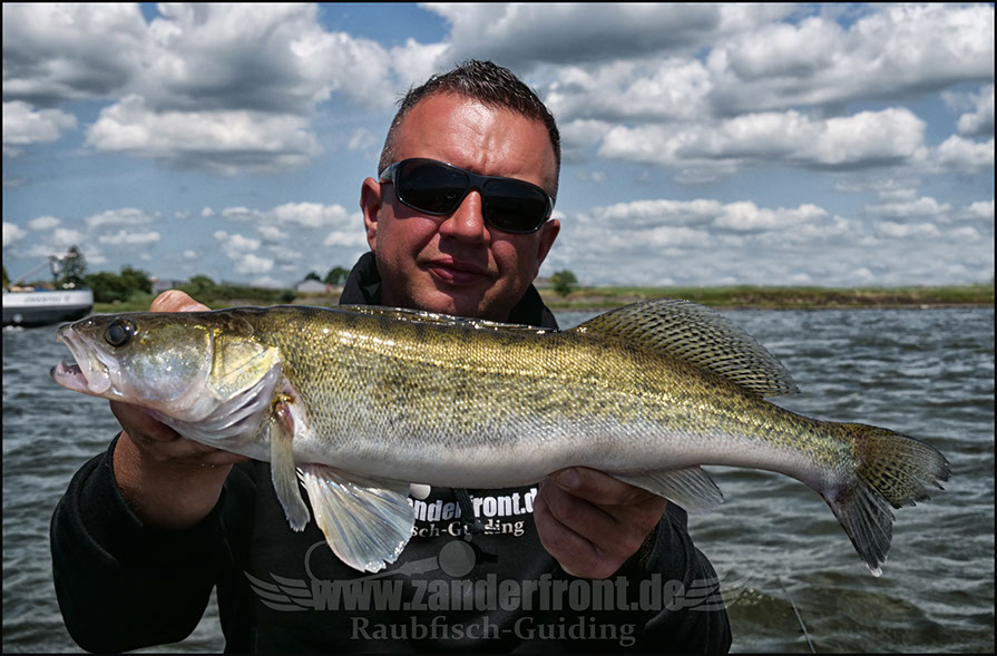 vertikal angeln auf zander