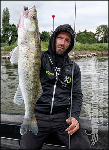 vertikal angeln auf zander