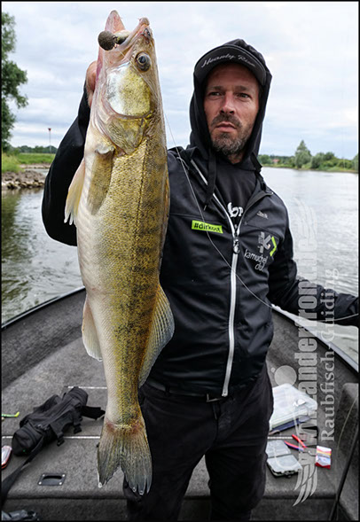 vertikal angeln auf zander