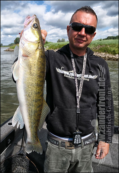 vertikal angeln auf zander