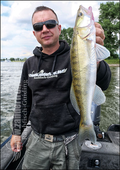 vertikal angeln auf zander