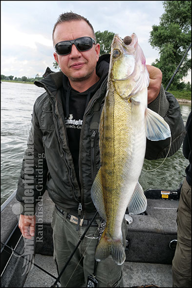 vertikal angeln auf zander