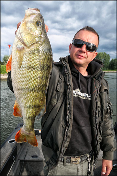 vertikal angeln auf zander