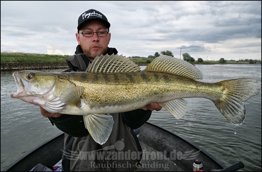 vertikal angeln auf zander