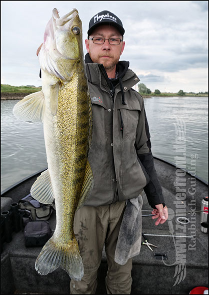 vertikal angeln auf zander