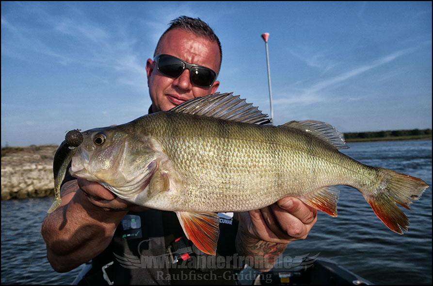 raubfischguiding