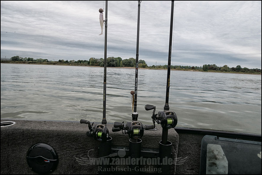 Bullseye Skip whip 2.0