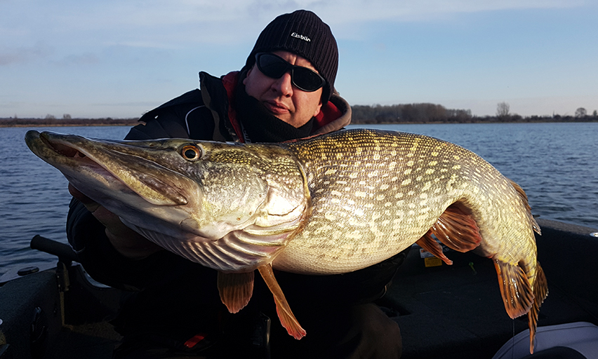 Pelagisch angeln auf kapitale Hechte