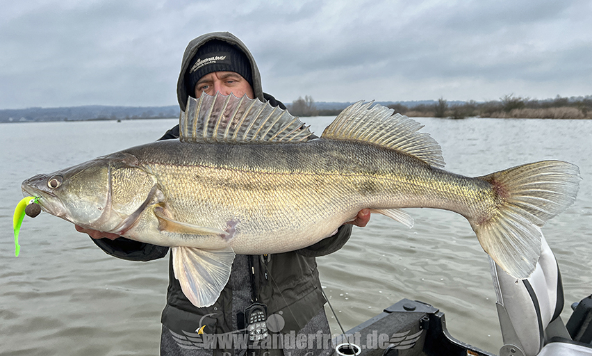 zander auf wobbler